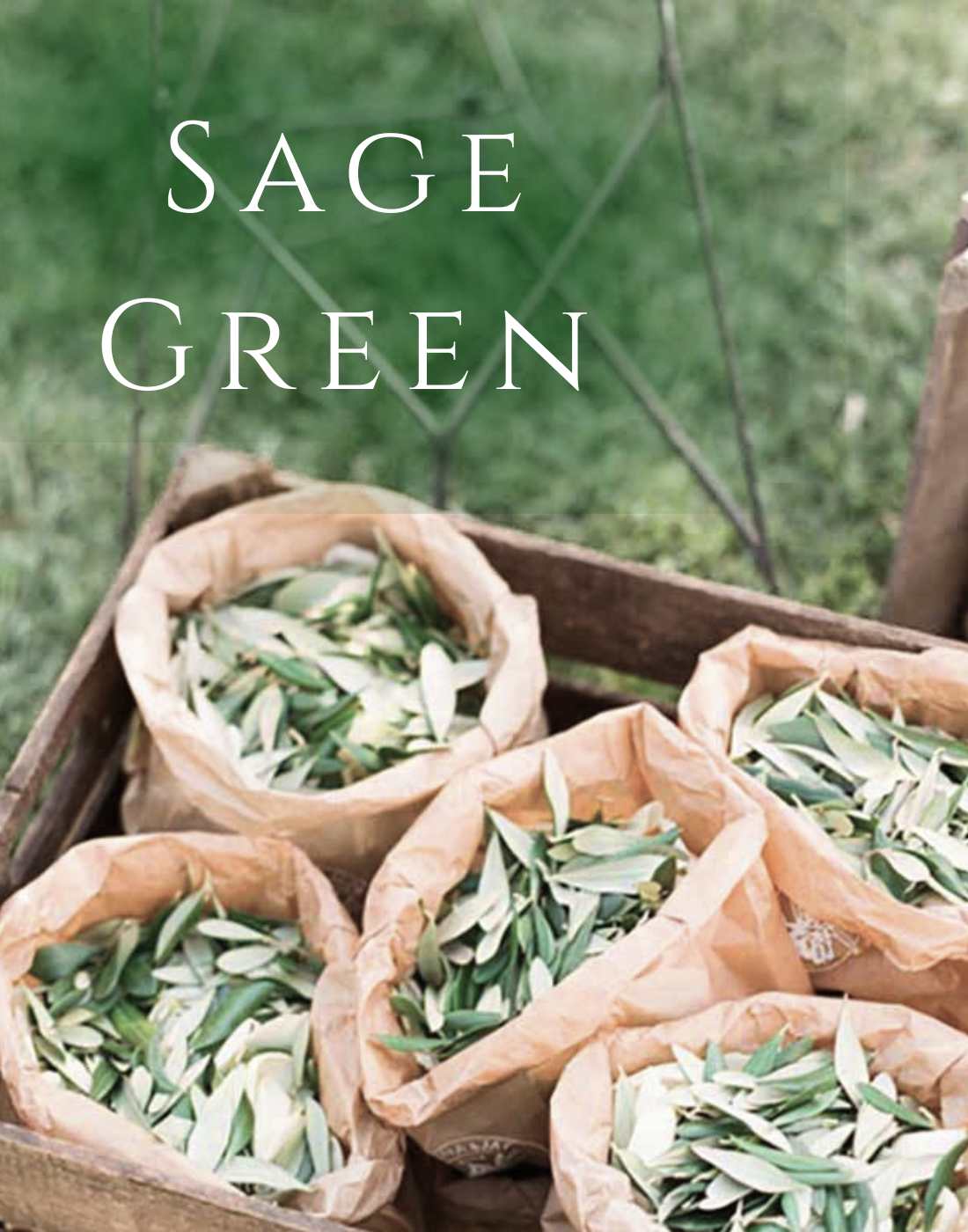 sage green like the herb pure cashmere collection