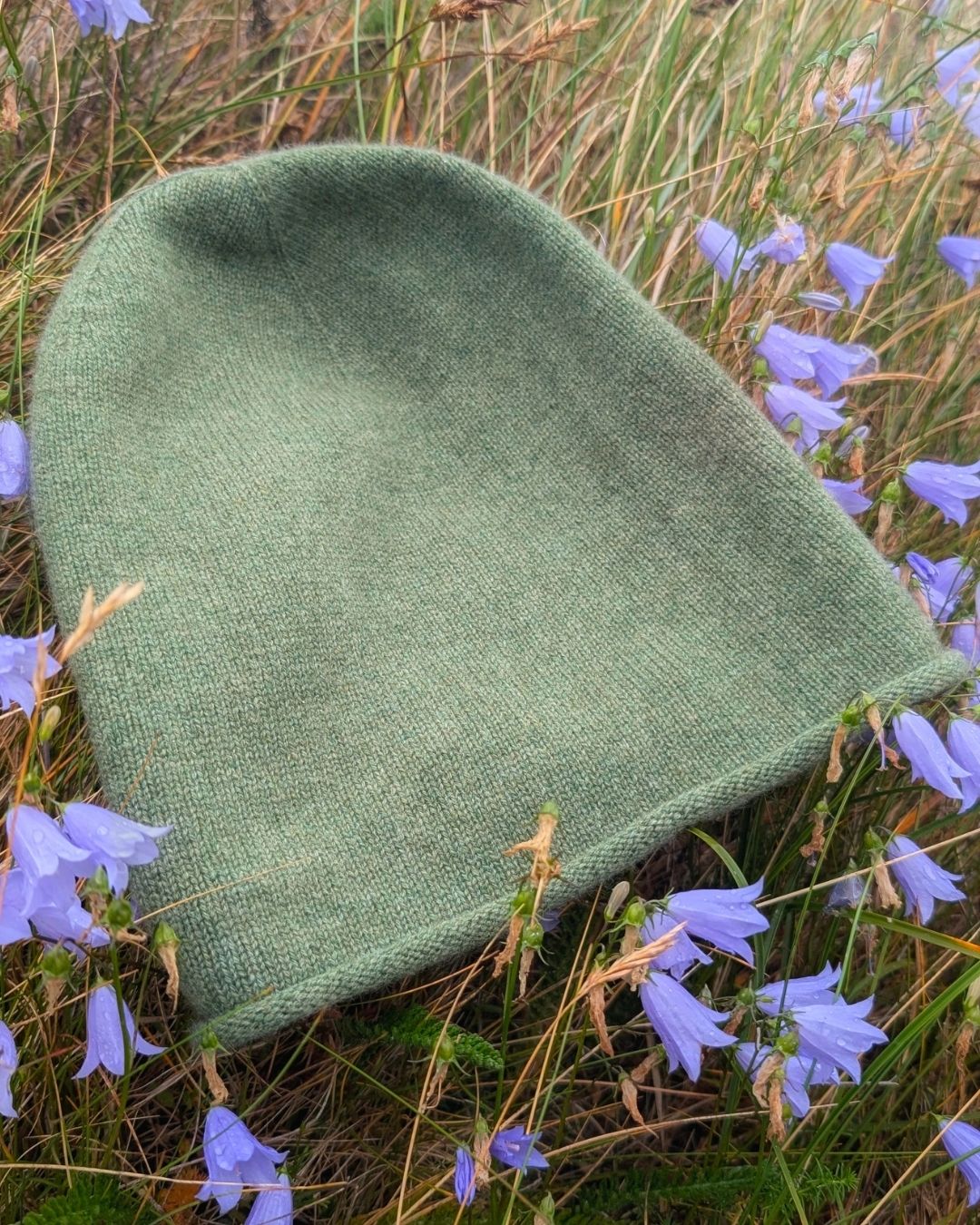An connemara green cashmere beanie hat resting on a bed of dry grass and wild irish purple bellflowers outdoors.