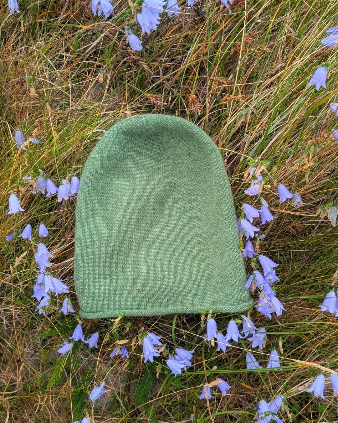 A green knit beanie hat lies on a bed of dry grass and small purple bell-shaped flowers connemara.